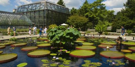 JARDÍN BOTÁNICO DE LONGWOOD