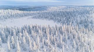 ¡Malditos finlandeses!