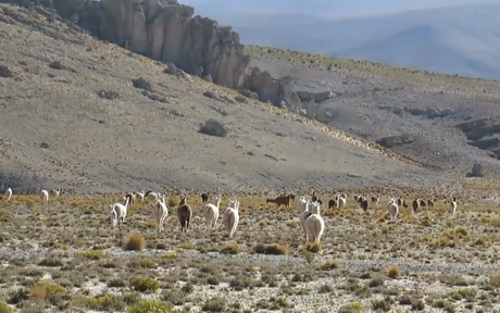 El gran viaje de la ruta 40 en moto de norte a sur: la séptima etapa recorriendo la espectacular Cuesta de Miranda. El gran viaje de la ruta 40 en moto de norte a sur: la séptima etapa recorriendo la espectacular Cuesta de Miranda.
