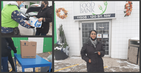 Youth Global Newsletter OWOS