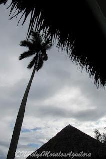 Victoria, la estética de la Revolución Cubana