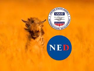 La NED persiste en Cuba, cual hiena hambrienta