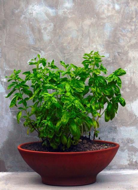 #NuevaRealidad ( Fin de año.)