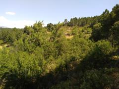 La Iruela, un lugar abandonado