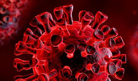 Mutagénesis letal: la propuesta de un virólogo español para acabar con el coronavirus