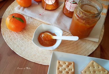 Mermelada de mandarina con tropezones