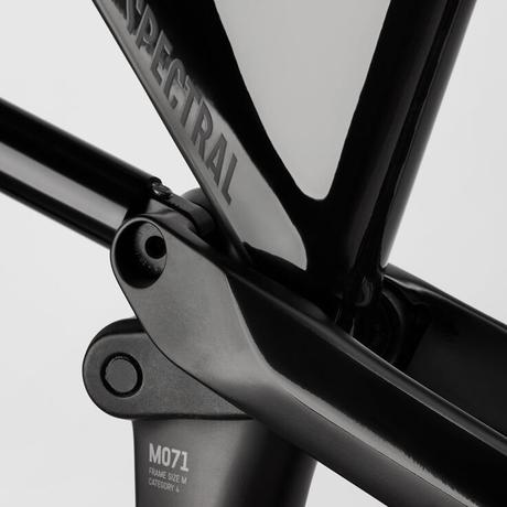 Canyon Spectral 29 CF 8.0 características revisión a fondo