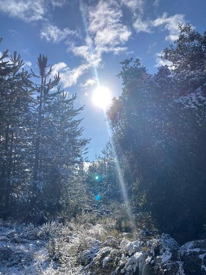 Rutas por el Bierzo: 'Laguna de la Grulla' en Losada, un secreto bien guardado en el Bierzo Alto 3 Rutas por el Bierzo: 'Laguna de la Grulla' en Losada, un secreto bien guardado en el Bierzo Alto 3
