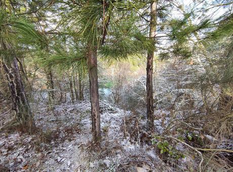 Rutas por el Bierzo: 'Laguna de la Grulla' en Losada, un secreto bien guardado en el Bierzo Alto 4 Rutas por el Bierzo: 'Laguna de la Grulla' en Losada, un secreto bien guardado en el Bierzo Alto 4