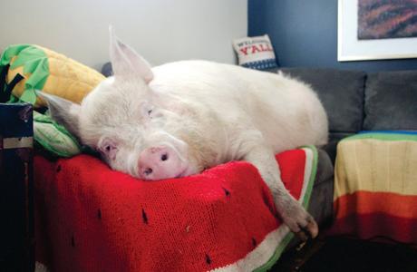 Entrenar en invierno para no perder la forma