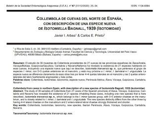 Nueva especie descubierta en cuevas del norte de España