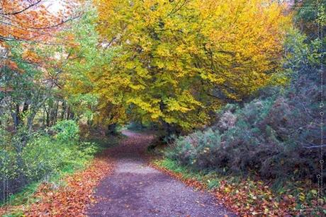 Espacio Natural de Covalagua Espacio Natural de Covalagua