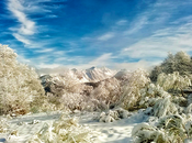 Crónicas Campo Santo