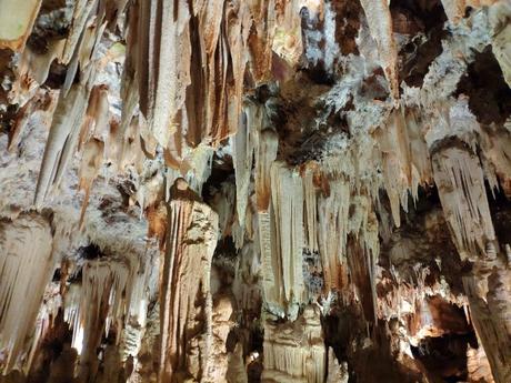 cueva-aguila-paisaje-tesoro 