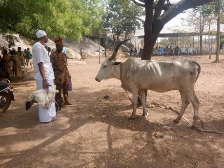 Afro píldora: El templo principal de vodounsi Sakpata en Dossa