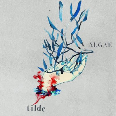[Disco] Tilde - Algae (2020)