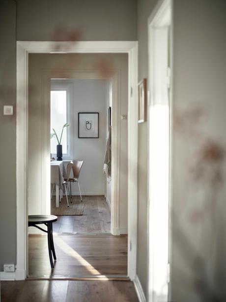 Renovar en casa - Año Nuevo, vivienda nueva