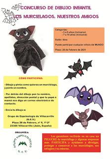 Concurso de Dibujo Infantil: Los murciélagos, nuestros amigos