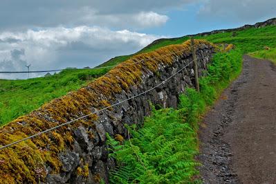 En un día sin niños