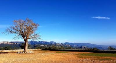 Lo que fue el 2020: el peor año para la cultura.