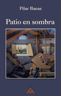 Patio en sombra