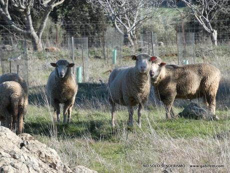 De Nogales a los Doce Apóstoles De Nogales a los Doce Apóstoles