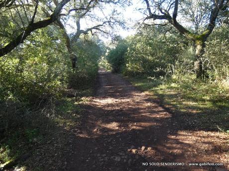 De Nogales a los Doce Apóstoles De Nogales a los Doce Apóstoles
