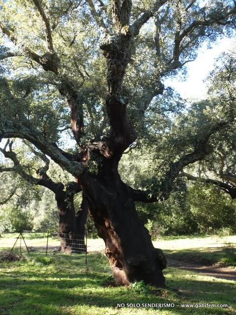 De Nogales a los Doce Apóstoles De Nogales a los Doce Apóstoles