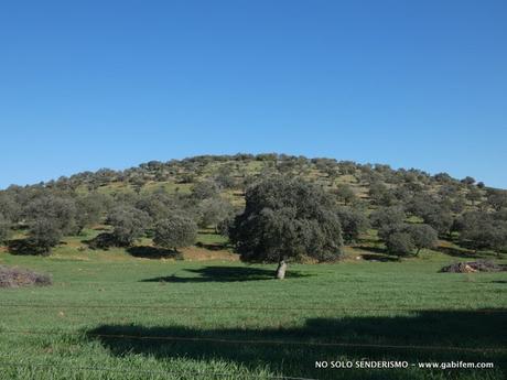 De Nogales a los Doce Apóstoles