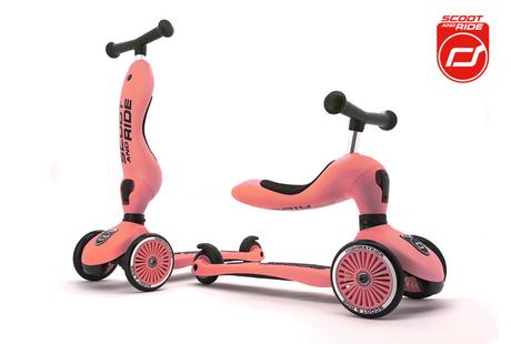 Scoot & Ride Highwaykick ONE