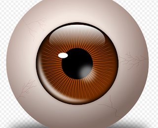 Detección de Glaucoma usando el defecto pupilar aferente relativo.