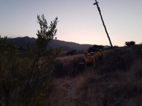 Preocupa a activistas incendio en la Sierra de San Miguelito