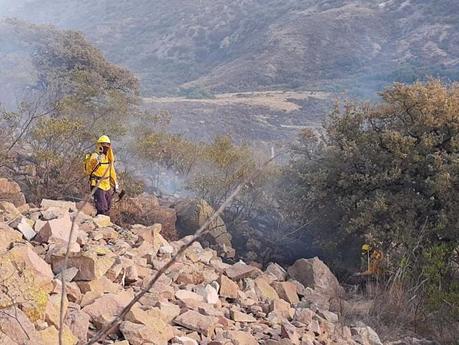 Preocupa a activistas incendio en la Sierra de San Miguelito
