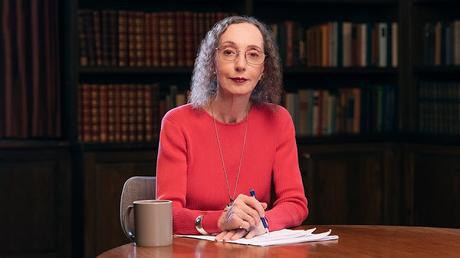 Escritora, Novelista