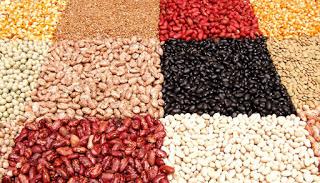 HABICHUELAS BLANCAS CON ALMEJAS Y LANGOSTINOS HABICHUELAS BLANCAS CON ALMEJAS Y LANGOSTINOS