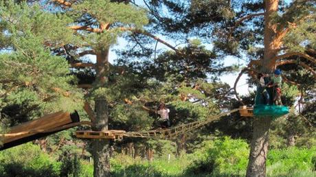Un parque de aventuras en los árboles (muy seguro) Un parque de aventuras en los árboles (muy seguro)