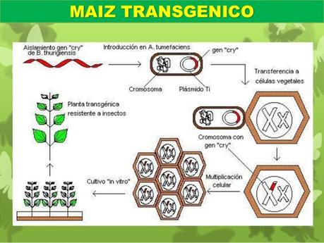 Prospectivas asombrosas: prospectiva Nº 3