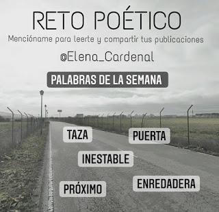 Reto literario semanal 3