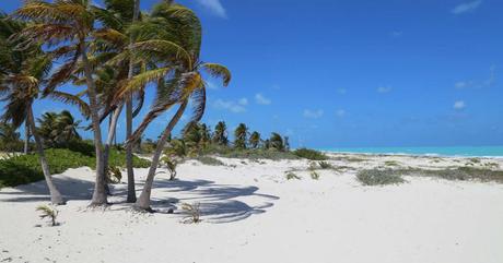Como ir a Isla Blanca desde Cancún Como ir a Isla Blanca desde Cancún