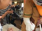 Cómo hacer reservación para restaurante Disney World