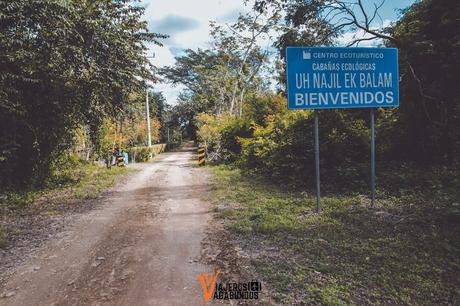 Cenotes y turismo comunitario: un viaje de experiencias completas por Yucatán