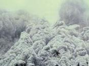 Breve reseña verdor terrible”, Benjamín Labatut