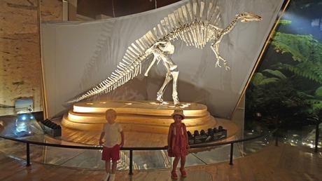 Planeando viajes… Viajar a EE.UU. con niños Top 5 de lugares que visitar Museo en Venecia