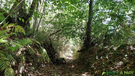 Sendero entre barrios de las Cuestas