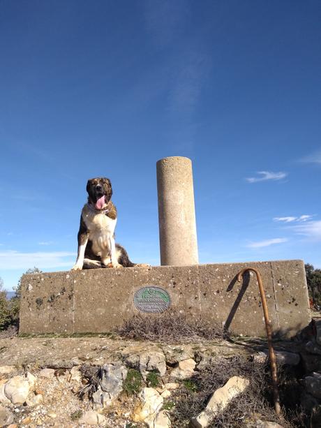 El Campichuelo, de la tierra a las estrellas