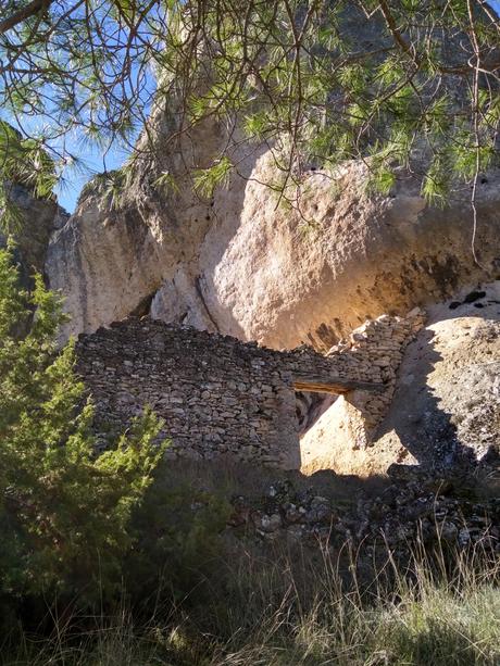 El Campichuelo, de la tierra a las estrellas