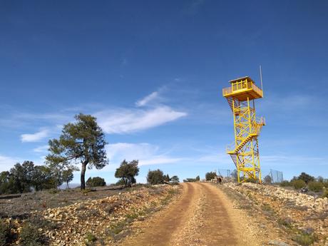 El Campichuelo, de la tierra a las estrellas