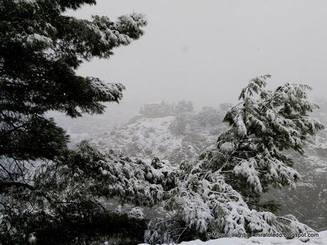 Toda blancura la gran Toledo