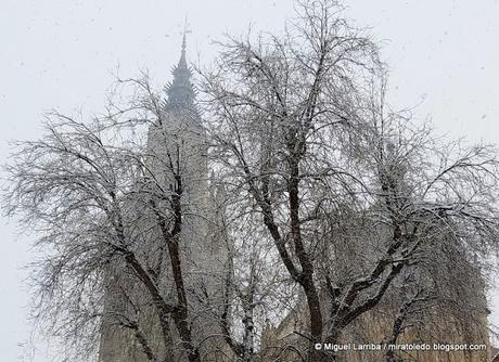 Toda blancura la gran Toledo