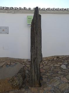 Imagen del mes: Menhir de La Cardenchosa, en el término de Azuaga